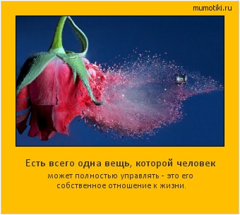 Есть всего одна вещь, которой человек может полностью управлять - это его собственное отношение к жизни. Cамые лучшие мотиваторы на mumotiki.ru Есть всего одна вещь, которой человек может полностью управлять - это его собственное отношение к жизни. #мотиватор