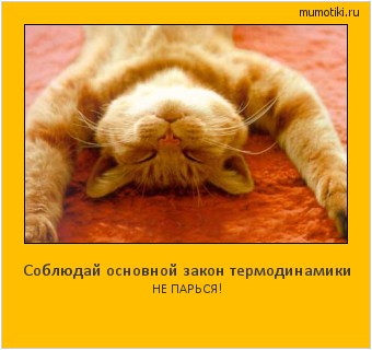 Соблюдай основной закон термодинамики НЕ ПАРЬСЯ! #мотиватор