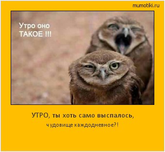 УТРО, ты хоть само выспалось, чудовище каждодневное?! #мотиватор
