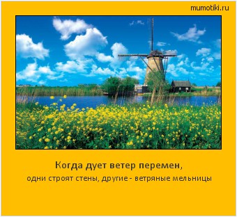 Когда дует ветер перемен, одни строят стены, другие - ветряные мельницы #мотиватор