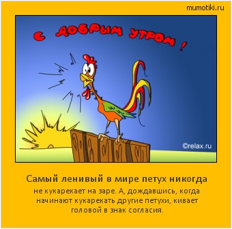 Самый ленивый в мире петух никогда не кукарекает на заре. А, дождавшись, когда начинают кукарекать другие петухи, кивает головой в знак согласия. Cамые лучшие мотиваторы на mumotiki.ru Самый ленивый в мире петух никогда не кукарекает на заре. А, дождавшись, когда начинают кукарекать другие петухи, кивает головой в знак согласия. #мотиватор