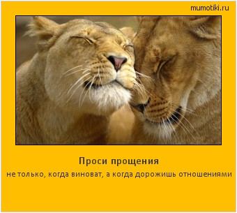 Проси прощения не только, когда виноват, а когда дорожишь отношениями #мотиватор