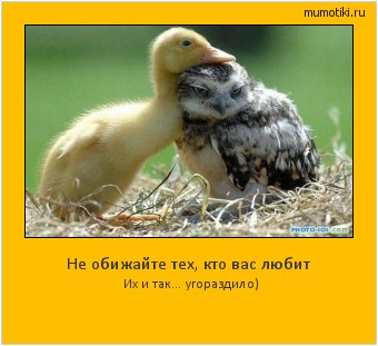 Не обижайте тех, кто вас любит Их и так… угораздило) Cамые лучшие мотиваторы на mumotiki.ru Не обижайте тех, кто вас любит Их и так… угораздило) #мотиватор