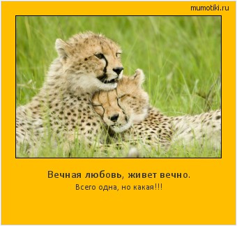 Вечная любовь, живет вечно. Всего одна, но какая!!! Cамые лучшие мотиваторы на mumotiki.ru Вечная любовь, живет вечно. Всего одна, но какая!!! #мотиватор