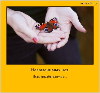 Незаменимых нет. Есть незабываемые... #мотиватор