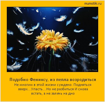 Подобно Фениксу, из пепла возродиться Не многим в этой жизни суждено.
Подняться вверх....Упасть....Но не разбиться
И снова встать, а не залечь на дно #мотиватор