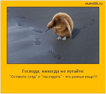 Господа, никогда не путайте: 