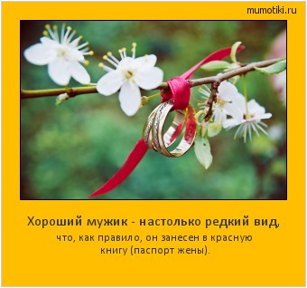 Хороший мужик - настолько редкий вид, что, как правило, он занесен в красную книгу (паспорт жены). #мотиватор