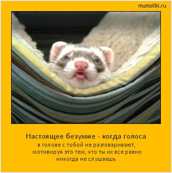  Настоящее безумие - когда голоса в голове с тобой не разговаривают, мотивируя это тем, что ты их все равно никогда не слушаешь. #мотиватор