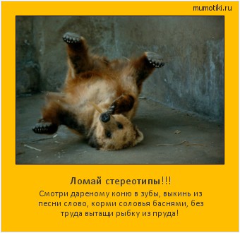 Ломай стереотипы!!! Смотри дареному коню в зубы, выкинь из песни слово, корми соловья баснями, без труда вытащи рыбку из пруда! #мотиватор