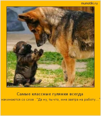 Самые классные гулянки всегда начинаются со слов : 