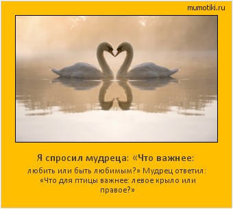 Я спросил мудреца: «Что важнее: любить или быть любимым?» Мудрец ответил: «Что для птицы важнее: левое крыло или правое?» Cамые лучшие мотиваторы на mumotiki.ru Я спросил мудреца: «Что важнее: любить или быть любимым?» Мудрец ответил: «Что для птицы важнее: левое крыло или правое?» #мотиватор