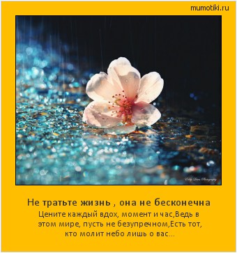 Не тратьте жизнь , она не бесконечна Цените каждый вдох, момент и час,
Ведь в этом мире, пусть не безупречном,
Есть тот, кто молит небо лишь о вас... #мотиватор