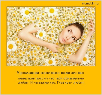 У ромашки нечетное количество лепестков потому что тебя обязательно любят. И не важно кто. Главное - любят. Cамые лучшие мотиваторы на mumotiki.ru У ромашки нечетное количество лепестков потому что тебя обязательно любят. И не важно кто. Главное - любят. #мотиватор