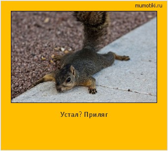 Устал? Приляг Cамые лучшие мотиваторы на mumotiki.ru Устал? Приляг #мотиватор