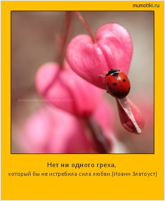 Нет ни одного греха, который бы не истребила сила любви.
(Иоанн Златоуст) #мотиватор