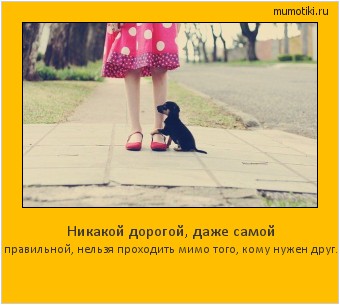 Никакой дорогой, даже самой правильной, нельзя проходить мимо того, кому нужен друг. #мотиватор