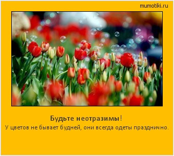 Будьте неотразимы! У цветов не бывает будней, они всегда одеты празднично. #мотиватор