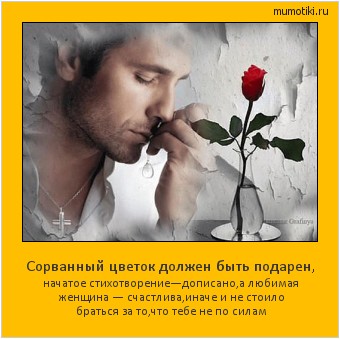 Сорванный цветок должен быть подарен, начатое стихотворение—дописано,а любимая женщина — счастлива,иначе и не стоило браться за то,что тебе не по силам #мотиватор