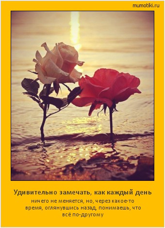 Удивительно замечать, как каждый день ничего не меняется, но, через какое-то время, оглянувшись назад, понимаешь, что всё по-другому #мотиватор