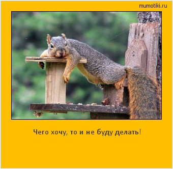 Чего хочу, то и не буду делать! Cамые лучшие мотиваторы на mumotiki.ru Чего хочу, то и не буду делать! #мотиватор