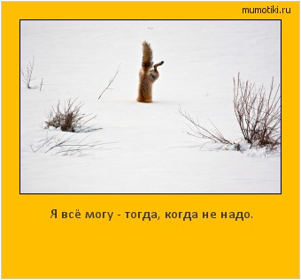 Я всё могу - тогда, когда не надо. Cамые лучшие мотиваторы на mumotiki.ru Я всё могу - тогда, когда не надо. #мотиватор