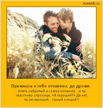 Прижмусь к тебе отчаянно, до дрожи. Опять небритый и слегка колючий...
А ты хвастливо спросишь: «Я хороший?».
Да нет, ты не хороший... самый лучший!! Cамые лучшие мотиваторы на mumotiki.ru Прижмусь к тебе отчаянно, до дрожи. Опять небритый и слегка колючий...
А ты хвастливо спросишь: «Я хороший?».
Да нет, ты не хороший... самый лучший!! #мотиватор