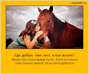 Где добро, там свет, а как иначе? Жизнь без милосердия пуста...
Если от чужого горя плачем,
Значит, не иссякла доброта! #мотиватор