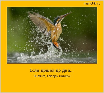 Если дошёл до дна… Значит, теперь наверх #мотиватор