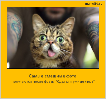 Самые смешные фото получаются после фразы 