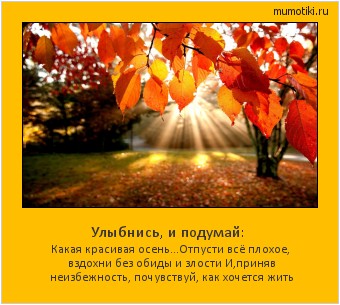 Улыбнись, и подумай: Какая красивая осень...
Отпусти всё плохое, вздохни без обиды и злости
И,приняв неизбежность, почувствуй, как хочется жить #мотиватор