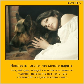 Нежность - это то, что можно дарить каждый день, каждый час и она все равно не иссякнет, потому что нежность - это частичка Бога в душе каждого из нас. #мотиватор