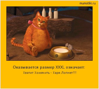 Оказывается размер ХХХL означает: Хватит Хомячить - Харя Лопнет!!! #мотиватор