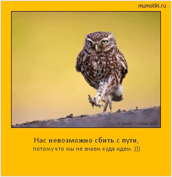 Нас невозможно сбить с пути, потому что мы не знаем куда идем. ))) #мотиватор