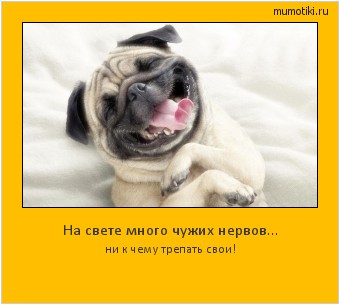 На свете много чужих нервов… ни к чему трепать свои! #мотиватор
