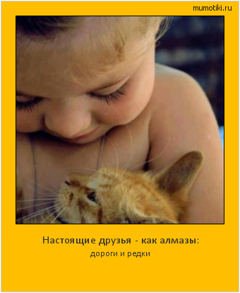 Настоящие друзья - как алмазы: дороги и редки #мотиватор