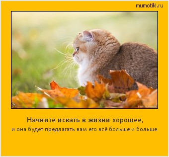 Начните искать в жизни хорошее, и она будет предлагать вам его всё больше и больше. #мотиватор