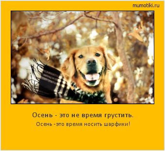 Осень - это не время грустить. Осень -это время носить шарфики! #мотиватор