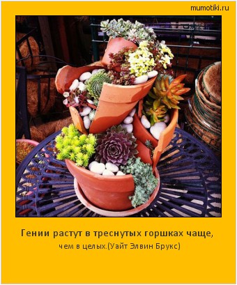 Гении растут в треснутых горшках чаще, чем в целых.
(Уайт Элвин Брукс) Cамые лучшие мотиваторы на mumotiki.ru Гении растут в треснутых горшках чаще, чем в целых.
(Уайт Элвин Брукс) #мотиватор