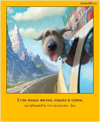 Если ваша жизнь зашла в тупик, не забывайте, что за рулем - Вы. #мотиватор