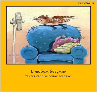 В любом безумии таится своё ужасное веселье. #мотиватор