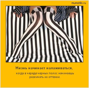 Жизнь начинает налаживаться, когда в череде черных полос начинаешь различать их оттенки. Cамые лучшие мотиваторы на mumotiki.ru Жизнь начинает налаживаться, когда в череде черных полос начинаешь различать их оттенки. #мотиватор