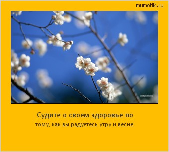 Судите о своем здоровье по тому, как вы радуетесь утру и весне #мотиватор