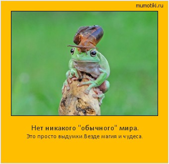 Нет никакого Нет никакого