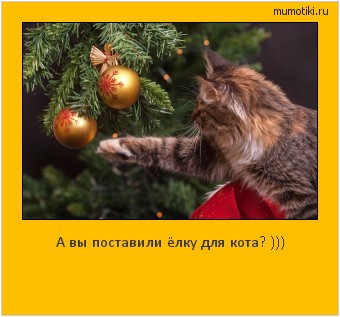А вы поставили ёлку для кота? ))) #мотиватор