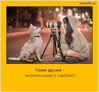 Наши друзья - ЧАСТИЧКИ НАШЕГО СЧАСТЬЯ!!! #мотиватор