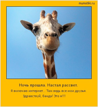 Ночь прошла. Настал рассвет. Я включаю интернет... Там ведь все мои друзья. Здравствуй, банда! Это я!!! #мотиватор