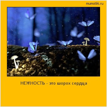 НЕЖНОСТЬ - это шорох сердца #мотиватор