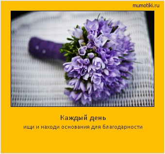 Каждый день ищи и находи основания для благодарности #мотиватор
