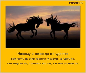  Никому и никогда не удастся взглянуть на мир твоими глазами, увидеть то,
что видишь ты, и понять это так, как понимаешь ты. #мотиватор